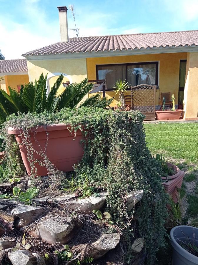 La Luce Del Sinis Villa Riola Sardo Exterior foto